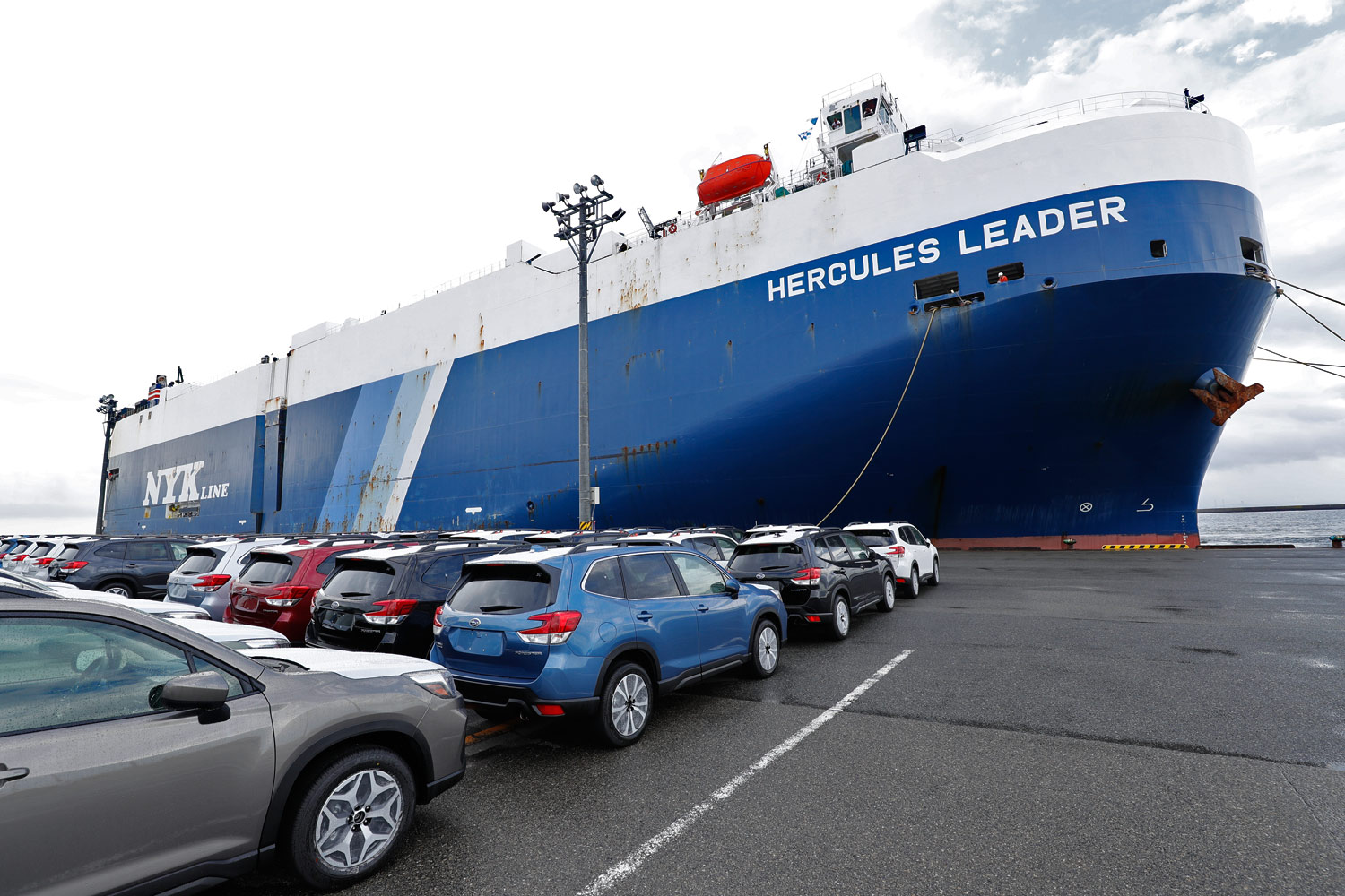 صورة عن الشركة